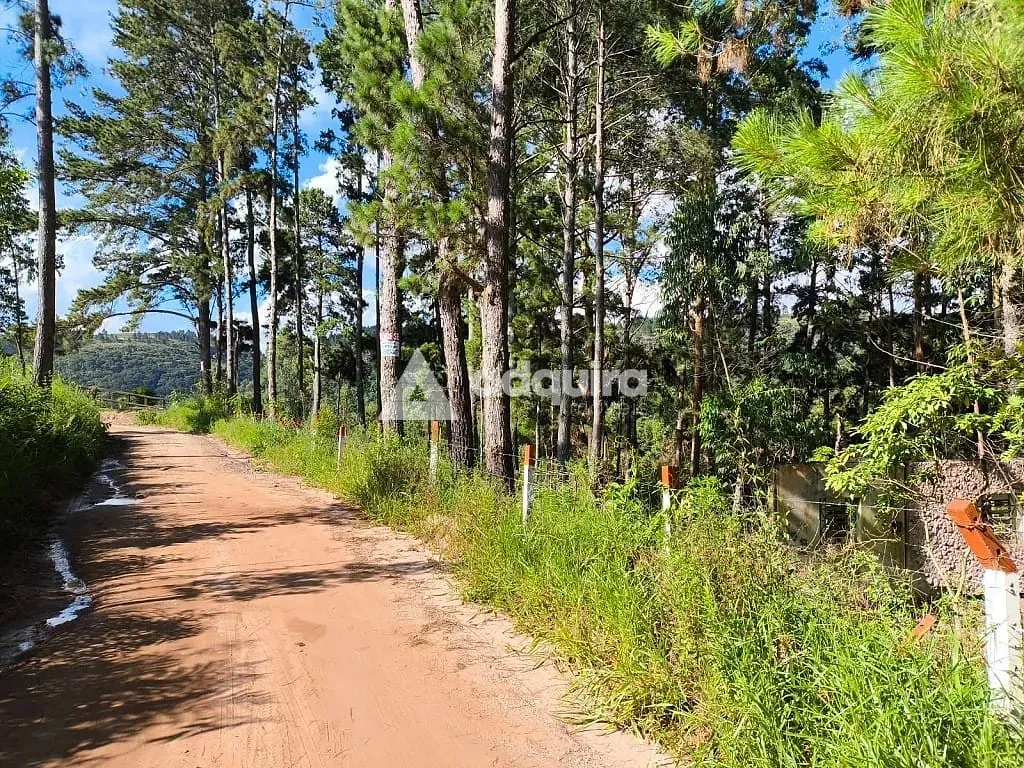 Chácara, 1 quarto, 3943 m² - Foto 10