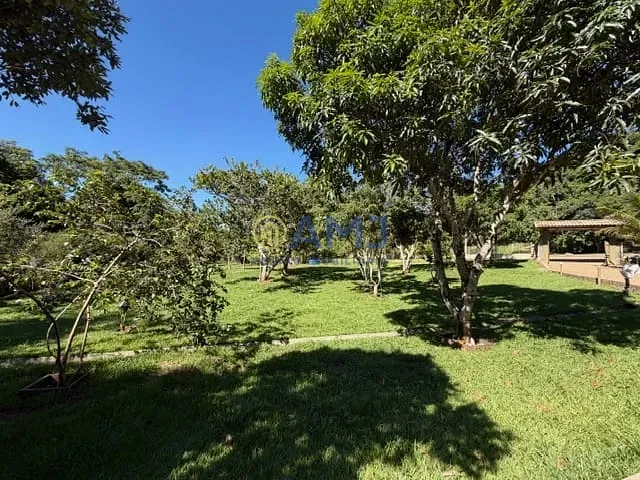 Sítio, 4 quartos, 1200 m² - Foto 26