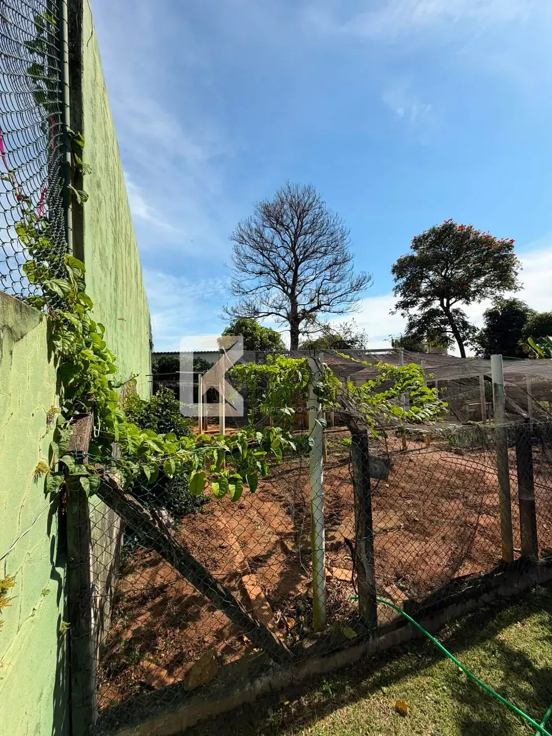 Chácara, 5 quartos, 5000 m² - Foto 34