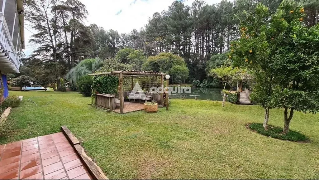 Sítio, 1 quarto, 10 hectares - Foto 9