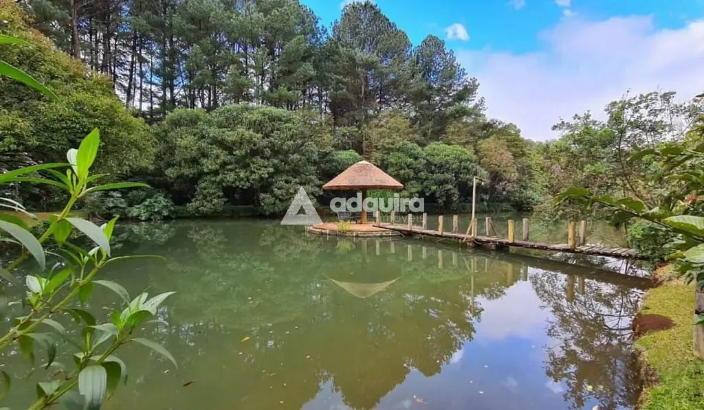Sítio, 1 quarto, 10 hectares - Foto 10
