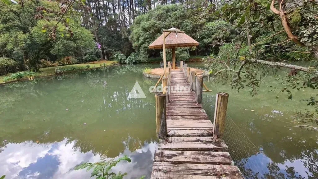 Sítio, 1 quarto, 10 hectares - Foto 11