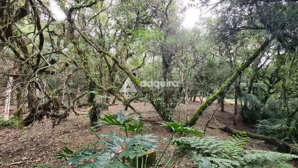 Sítio, 1 quarto, 10 hectares - Foto 24