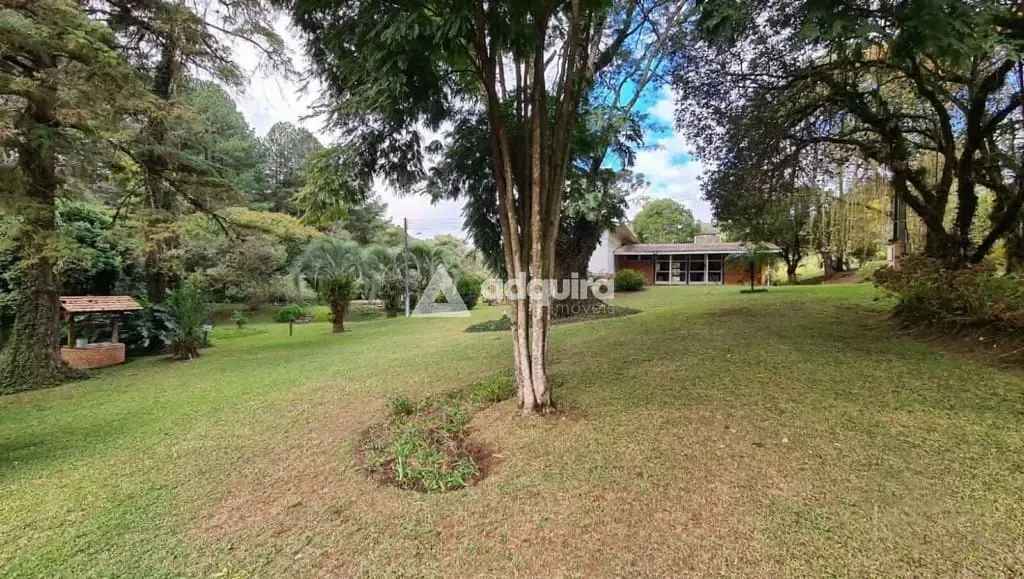 Sítio, 1 quarto, 10 hectares - Foto 26
