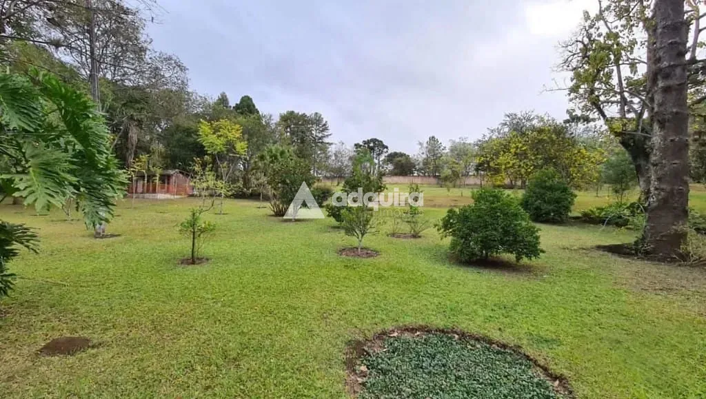 Sítio, 1 quarto, 10 hectares - Foto 28