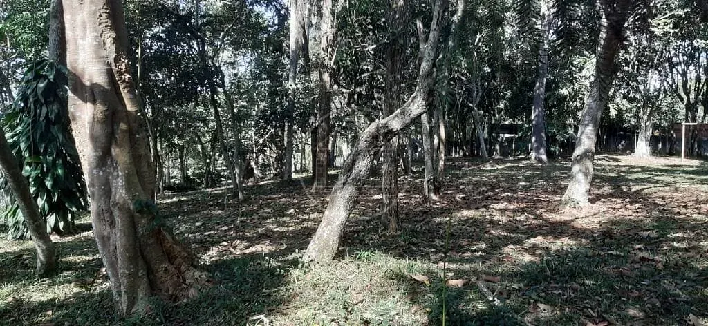 Sítio, 3 quartos, 5000 m² - Foto 8