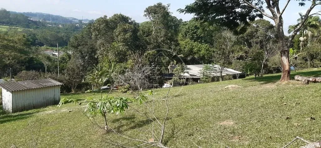 Sítio, 3 quartos, 5000 m² - Foto 7
