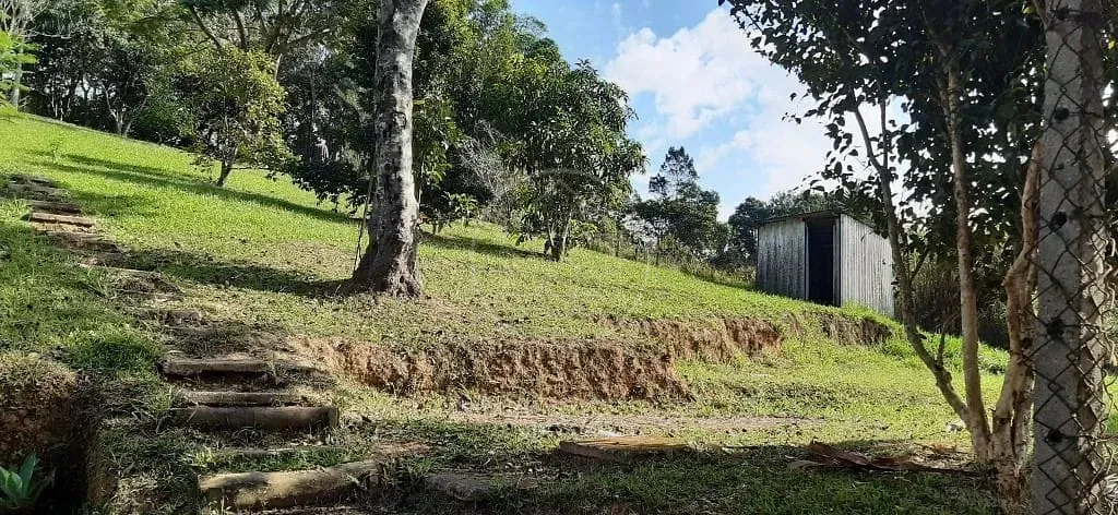 Sítio, 3 quartos, 5000 m² - Foto 30