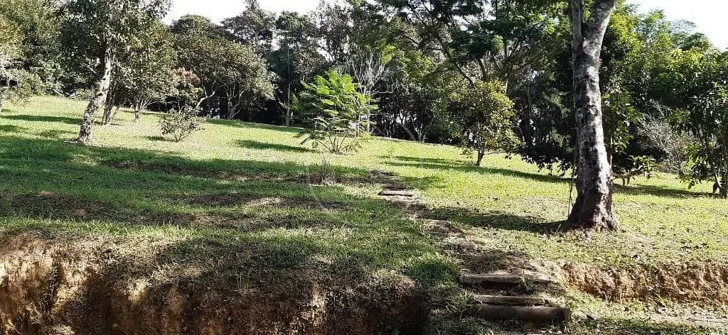 Sítio, 3 quartos, 5000 m² - Foto 31