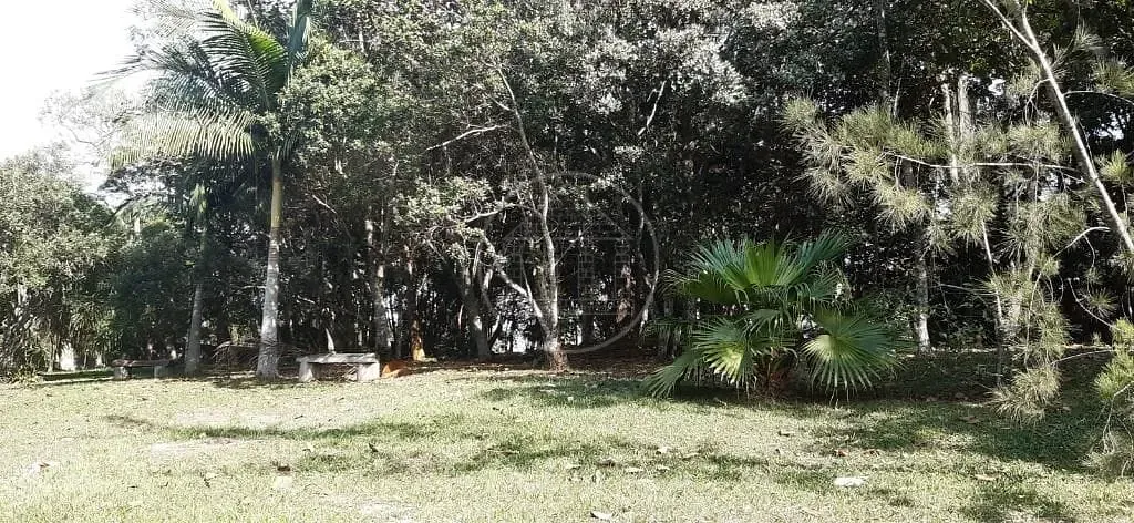 Sítio, 3 quartos, 5000 m² - Foto 5