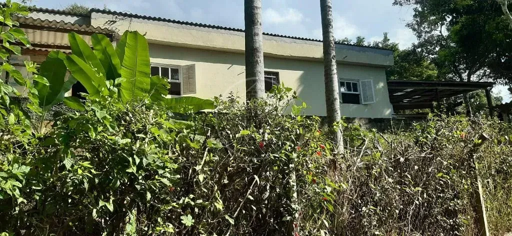 Sítio, 3 quartos, 5000 m² - Foto 2
