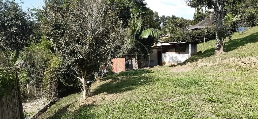 Sítio, 3 quartos, 5000 m² - Foto 4