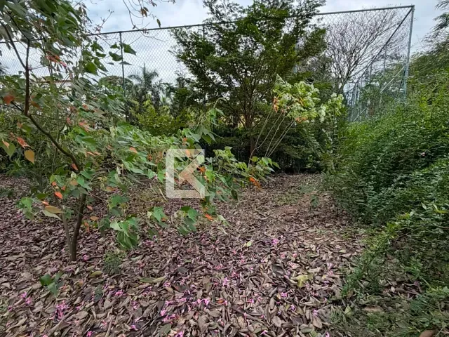 Chácara com 5000m² 2 quartos e 3 banheiros, à venda, no bairro Recanto das Flores em Indaiatuba