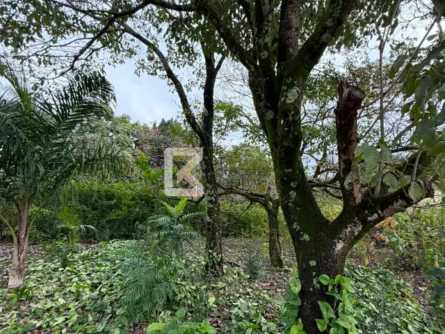 Chácara com 5000m² 2 quartos e 3 banheiros, à venda, no bairro Recanto das Flores em Indaiatuba