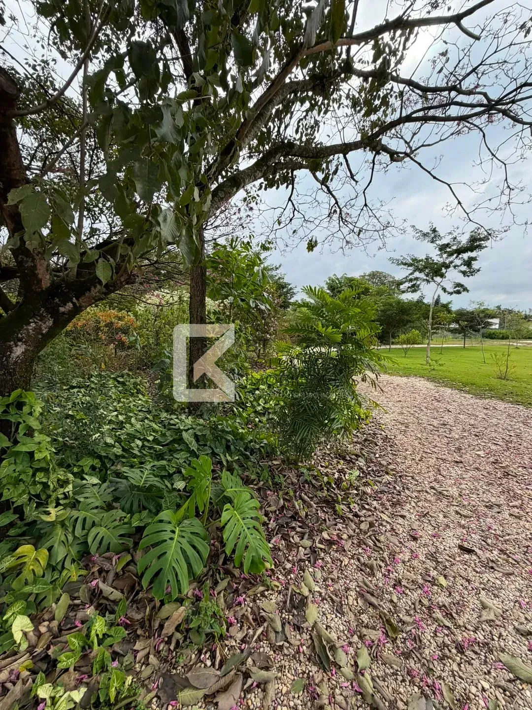 Chácara, 2 quartos, 5000 m² - Foto 4