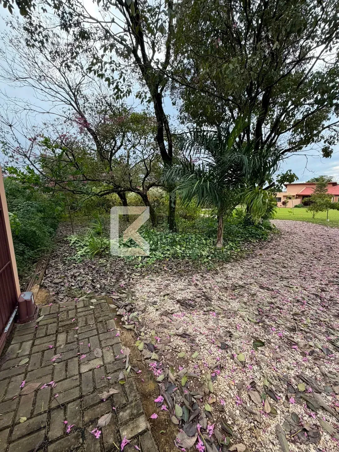 Chácara, 2 quartos, 5000 m² - Foto 6