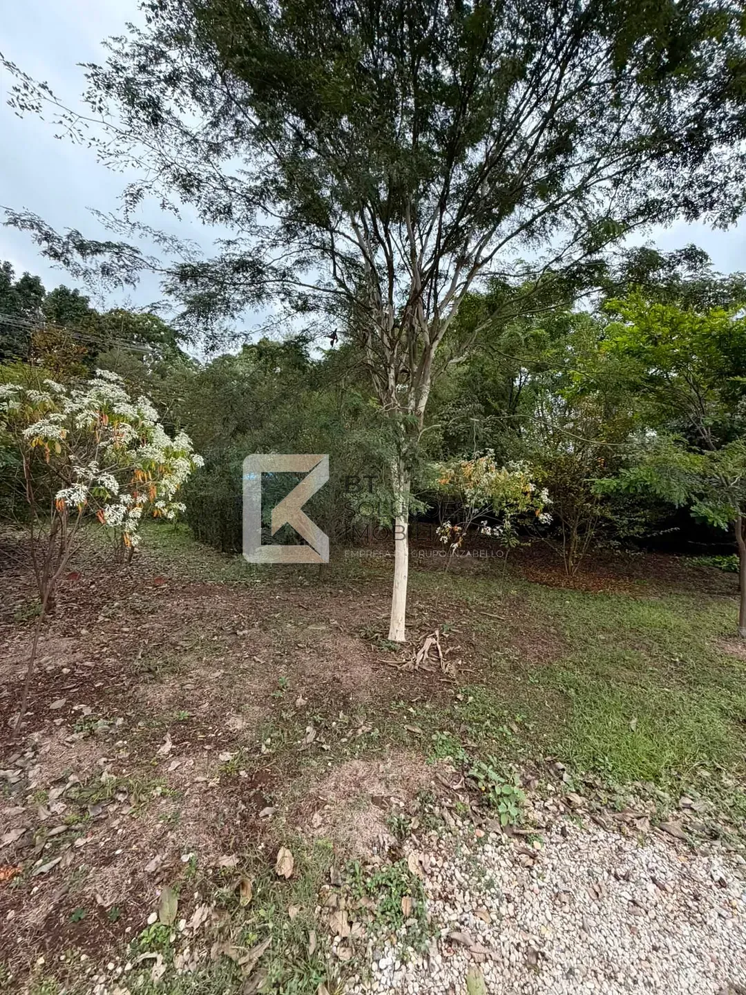 Chácara, 2 quartos, 5000 m² - Foto 11
