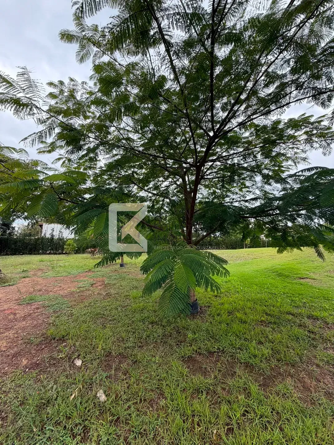 Chácara, 2 quartos, 5000 m² - Foto 30