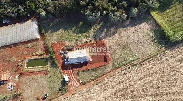 Sítio, 2 quartos, 10000 m² - Foto 2