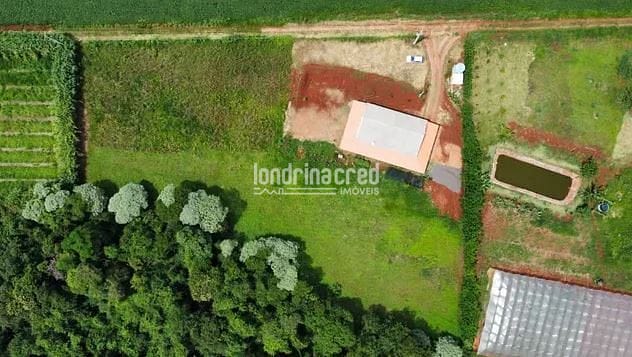 Sítio, 2 quartos, 10000 m² - Foto 11