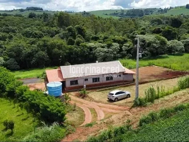 Chácara com 10000m², à venda, no bairro Jardim Recanto dos Palmares em Apucarana