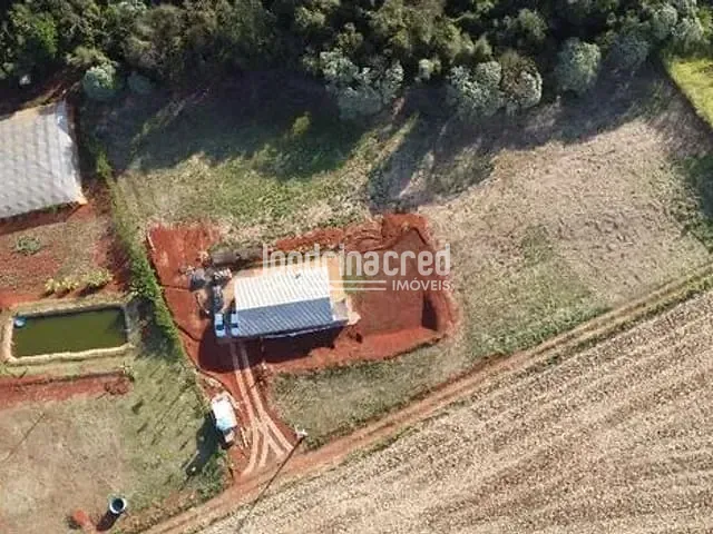 Chácara com 10000m², à venda, no bairro Jardim Recanto dos Palmares em Apucarana