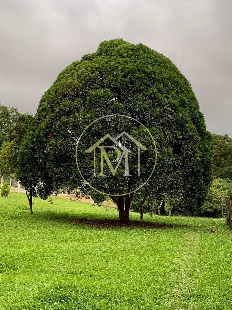 Chácara, 4 quartos, 1900 m² - Foto 7