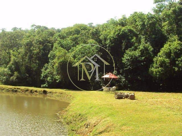 Chácara, 4 quartos, 1900 m² - Foto 12