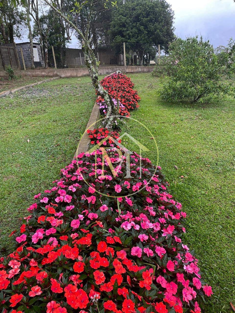 Chácara, 4 quartos, 1900 m² - Foto 24