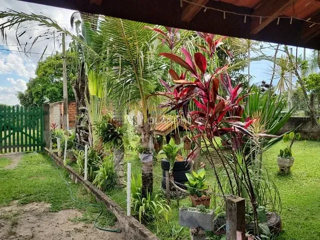 Chácara com 4706m² 4 quartos e 3 banheiros, à venda, no bairro Área Rural de Artur Nogueira em Artur Nogueira