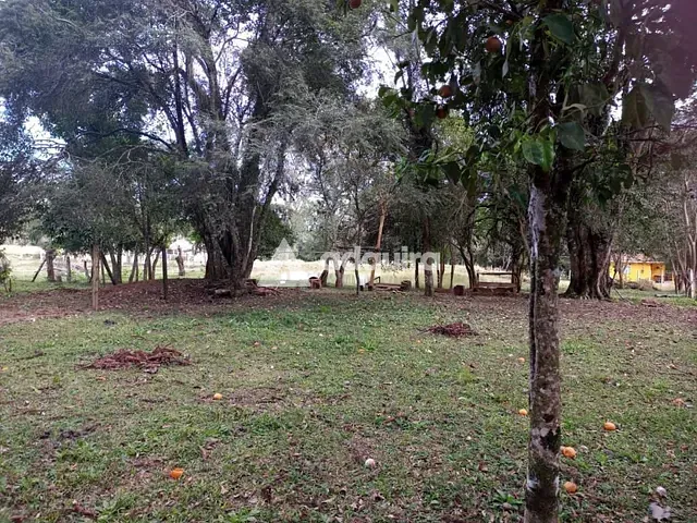 Chácara com 62000m² 3 quartos e 2 banheiros, à venda, no bairro Guaragi em Guaragi