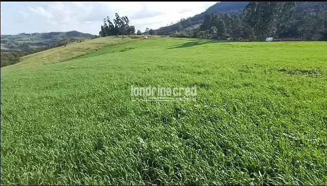 Sítio, 1 quarto, 21 hectares - Foto 2