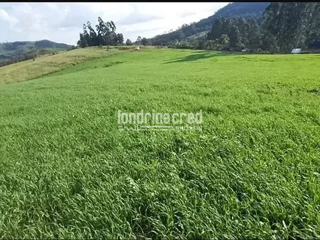 Chácara com 212960m², à venda, no bairro Zona Rural em Tamarana