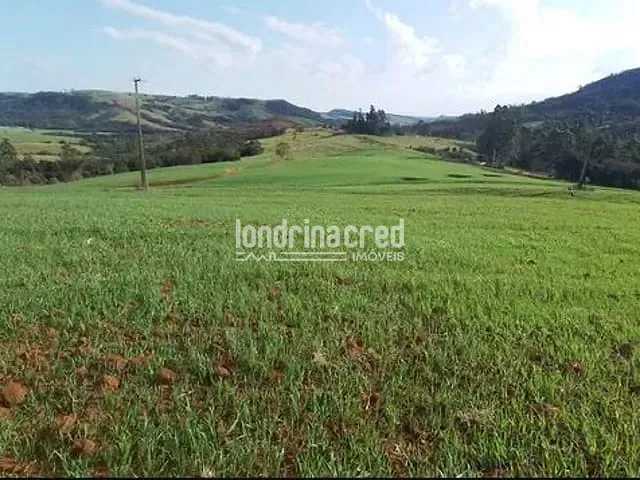 Chácara com 212960m², à venda, no bairro Zona Rural em Tamarana