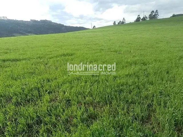 Chácara com 212960m², à venda, no bairro Zona Rural em Tamarana