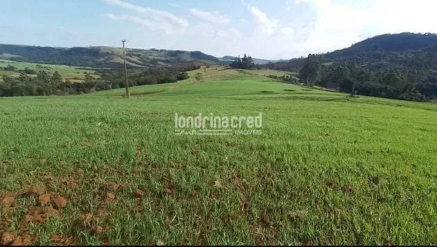 Sítio, 1 quarto, 21 hectares - Foto 1