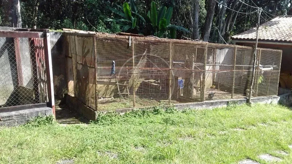 Sítio, 3 quartos, 2000 m² - Foto 17