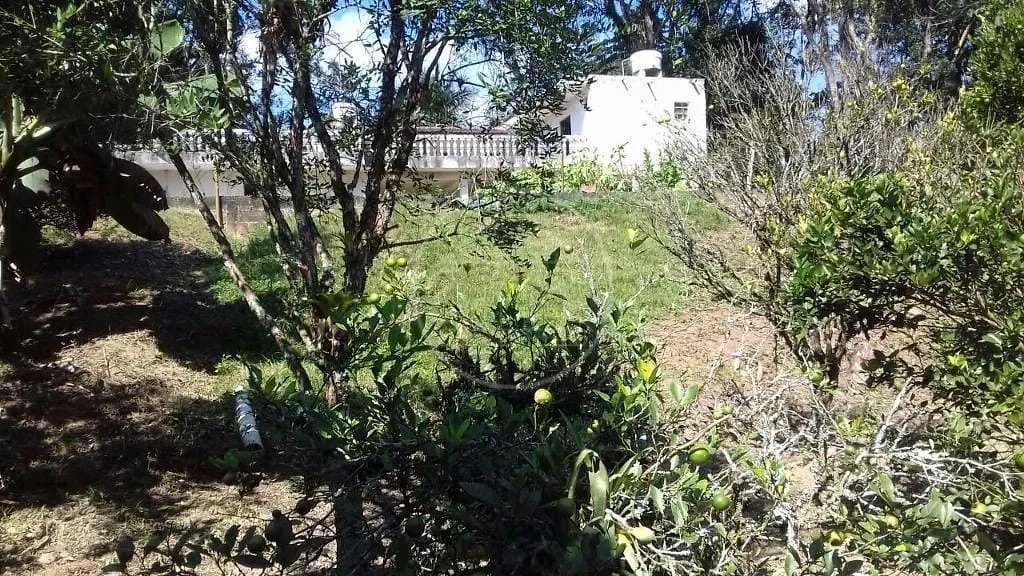 Sítio, 3 quartos, 2000 m² - Foto 6