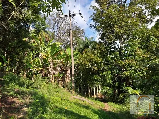 Chácara com 60000m² 4 quartos e 5 banheiros, à venda, no bairro Santa Luzia em Nazaré Paulista