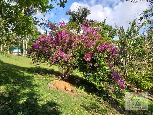 Chácara com 60000m² 4 quartos e 5 banheiros, à venda, no bairro Santa Luzia em Nazaré Paulista