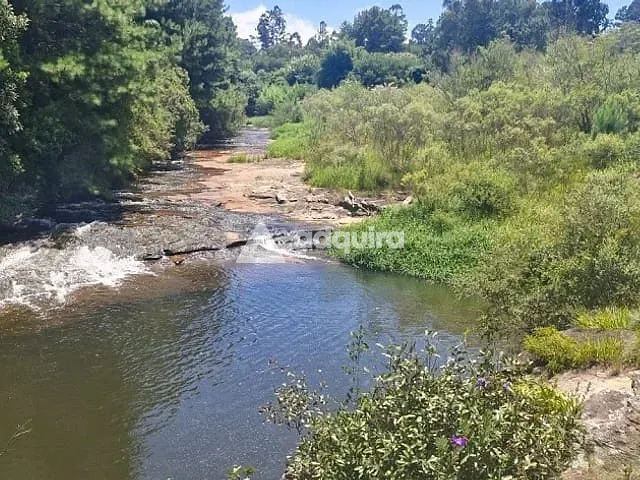 Chácara com 50000m² 9 quartos e 9 banheiros, à venda, no bairro centro em Carambeí