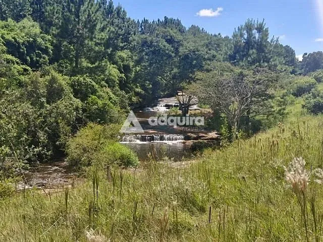 Chácara com 50000m² 9 quartos e 9 banheiros, à venda, no bairro centro em Carambeí