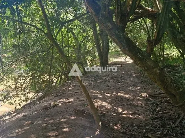 Chácara com 50000m² 9 quartos e 9 banheiros, à venda, no bairro centro em Carambeí
