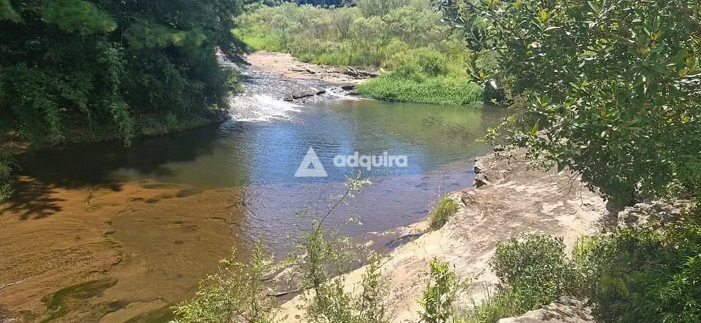 Sítio, 9 quartos, 5 hectares - Foto 1