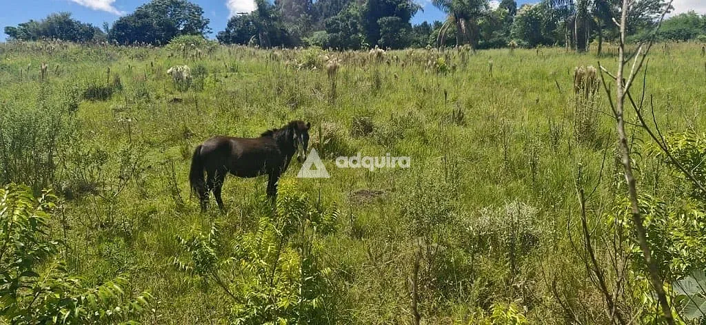 Sítio, 9 quartos, 5 hectares - Foto 3
