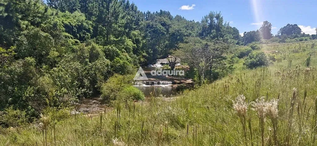 Sítio, 9 quartos, 5 hectares - Foto 4