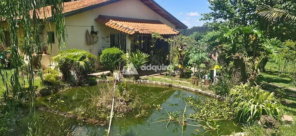 Sítio, 9 quartos, 5 hectares - Foto 6