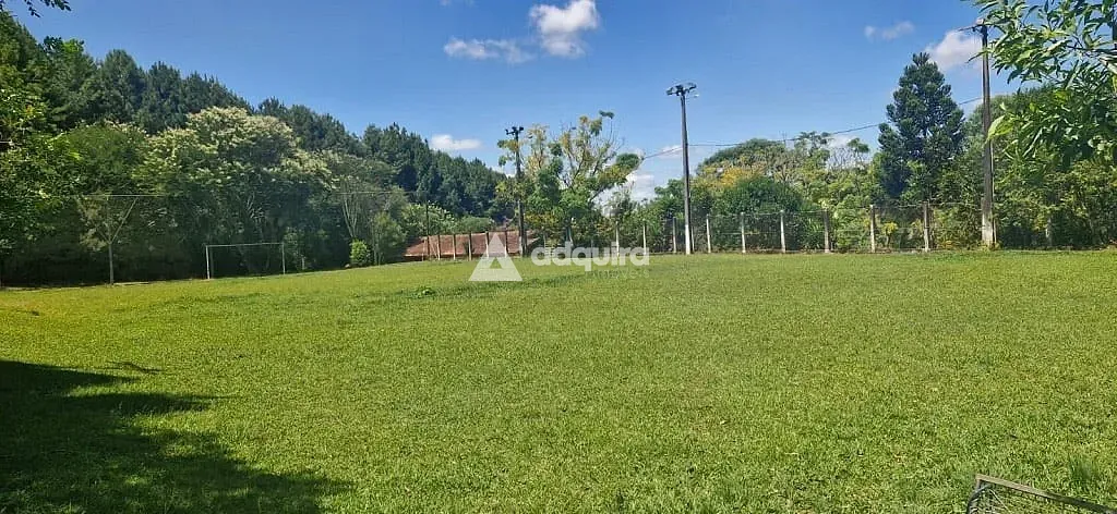 Sítio, 9 quartos, 5 hectares - Foto 7