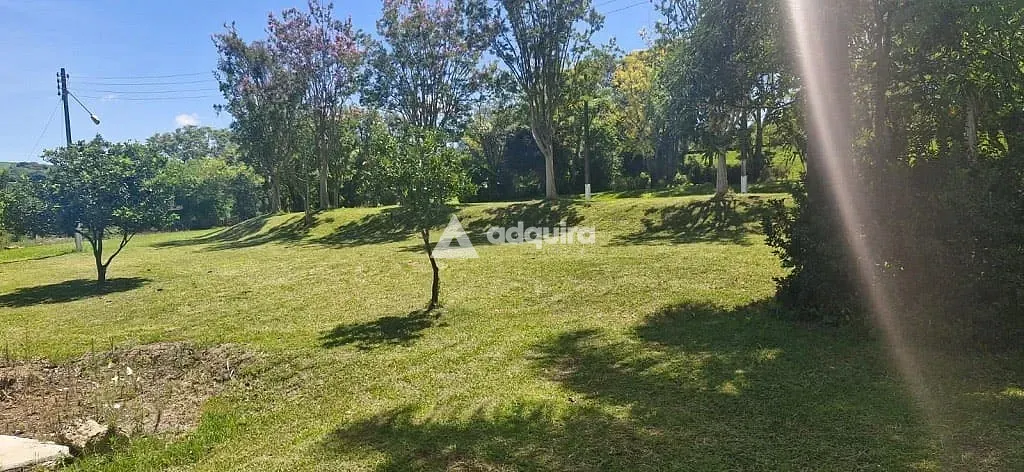 Sítio, 9 quartos, 5 hectares - Foto 12