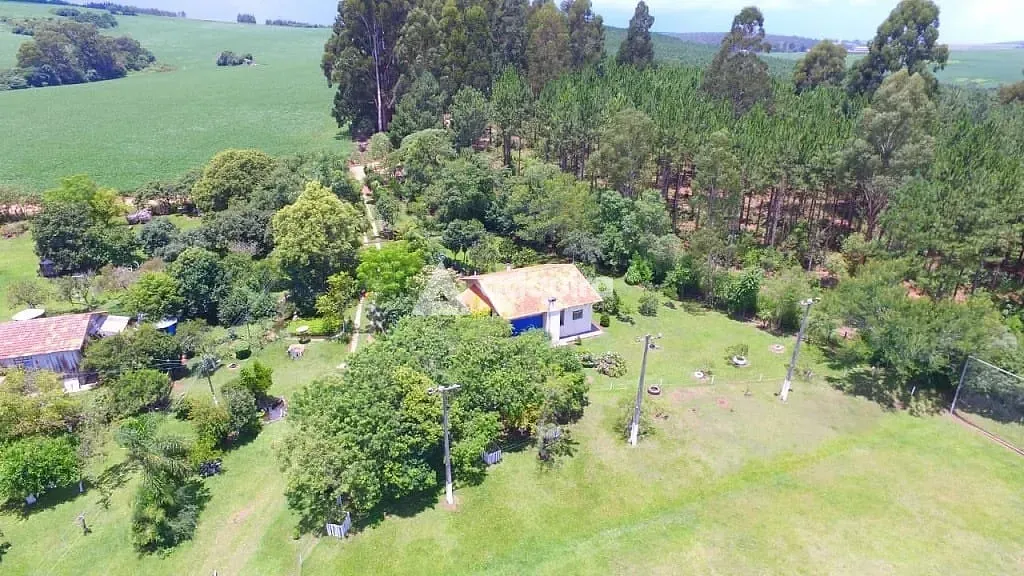 Sítio, 9 quartos, 5 hectares - Foto 15